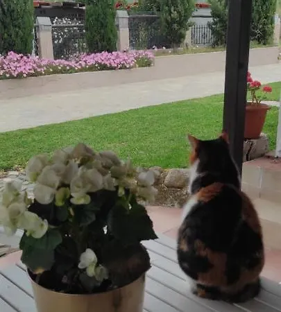 Apartment Douvas House