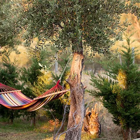 Lejlighed Douvas House *