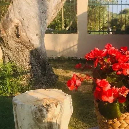 Douvas House Lejlighed