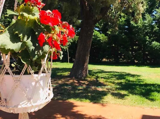 Douvas House Apartamento Toroni