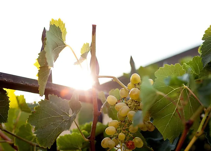 Apartamento Douvas House