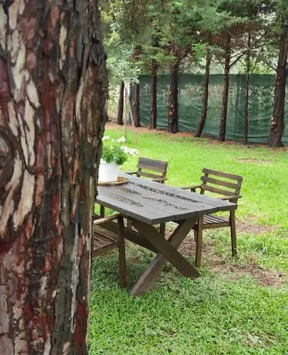 Douvas House Apartamento Toroni