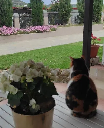 Apartamento Douvas House