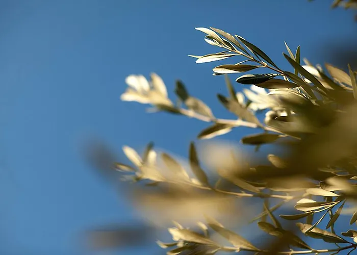 Apartamento Douvas House