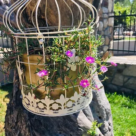 公寓 多瓦斯豪斯公寓