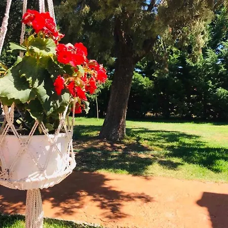 多瓦斯豪斯公寓 公寓 托罗尼