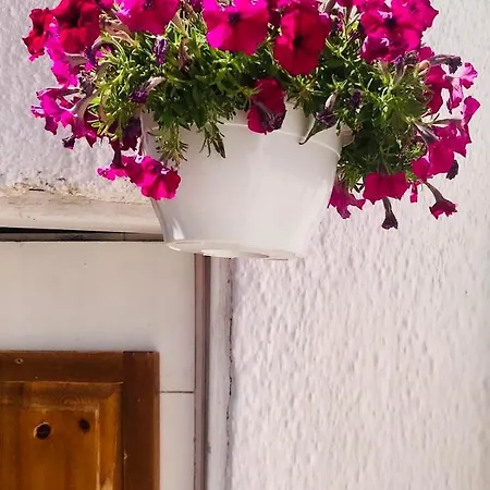 多瓦斯豪斯公寓