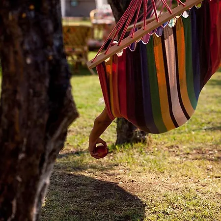 多瓦斯豪斯公寓 托罗尼