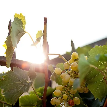 公寓 多瓦斯豪斯公寓