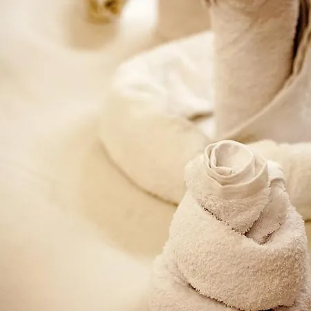 公寓 多瓦斯豪斯公寓 *