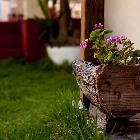 多瓦斯豪斯公寓 公寓 *