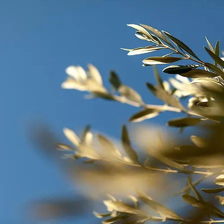 公寓 多瓦斯豪斯公寓