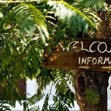 公寓 多瓦斯豪斯公寓 *