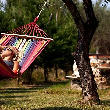 公寓 多瓦斯豪斯公寓 托罗尼